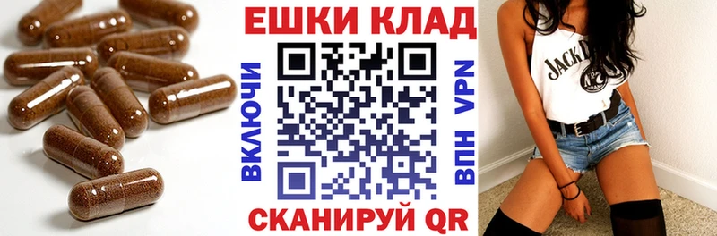 ЭКСТАЗИ бентли гидра ТОР Кизляр