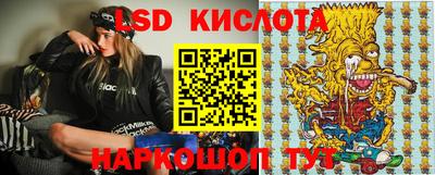 индика Гусев