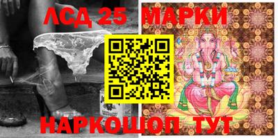 индика Гусев