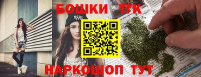 индика Гусев