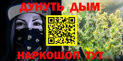 индика Гусев