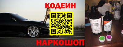 индика Гусев