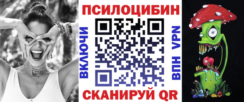 Псилоцибиновые грибы MAGIC MUSHROOMS  купить  сайты  Кизляр 