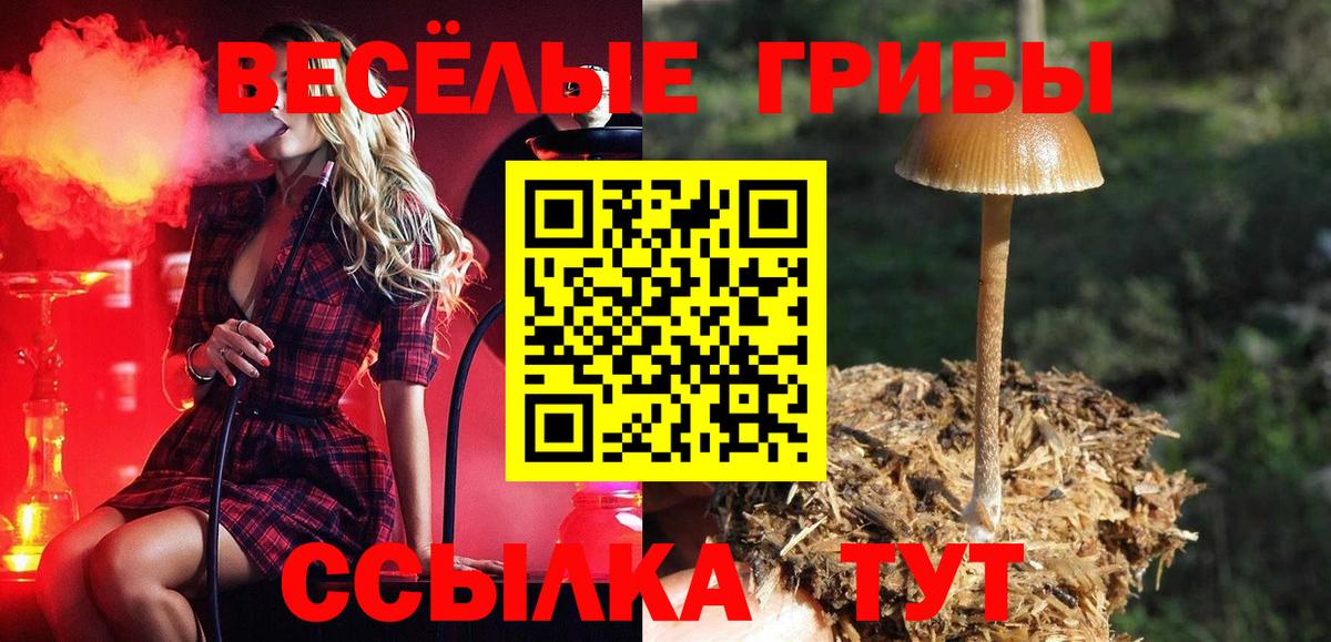Псилоцибиновые грибы GOLDEN TEACHER Кизляр