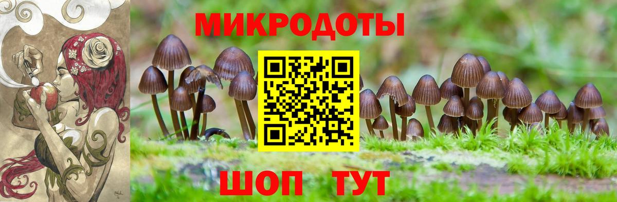 Псилоцибиновые грибы Magic Shrooms  Вход с VPN  Кизляр 
